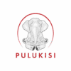 Pulukisi