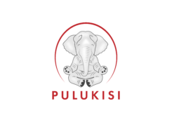 Pulukisi